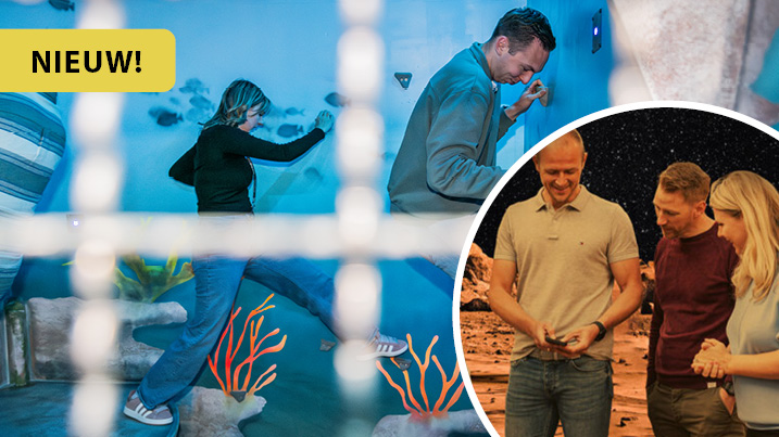 bedrijfsfeest.nl arrangement6